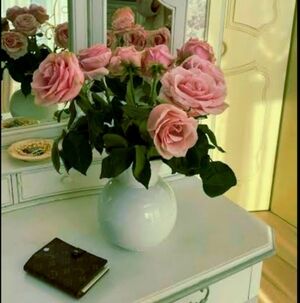 Just Here To Shop ♥️